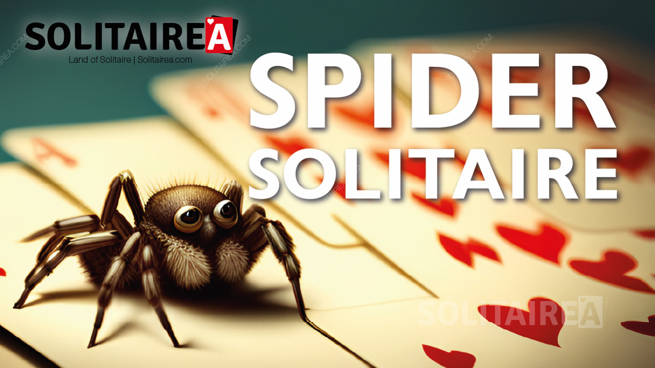 玩蜘蛛纸牌，通过这个有趣的记忆游戏挑战你的大脑。